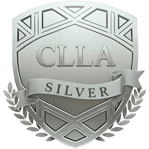silver 300 1-14